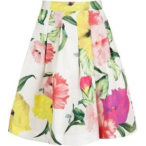 Ted Baker Muirin Skirt Floral Insect Printed Pleat Size 1 Small Knee Modest